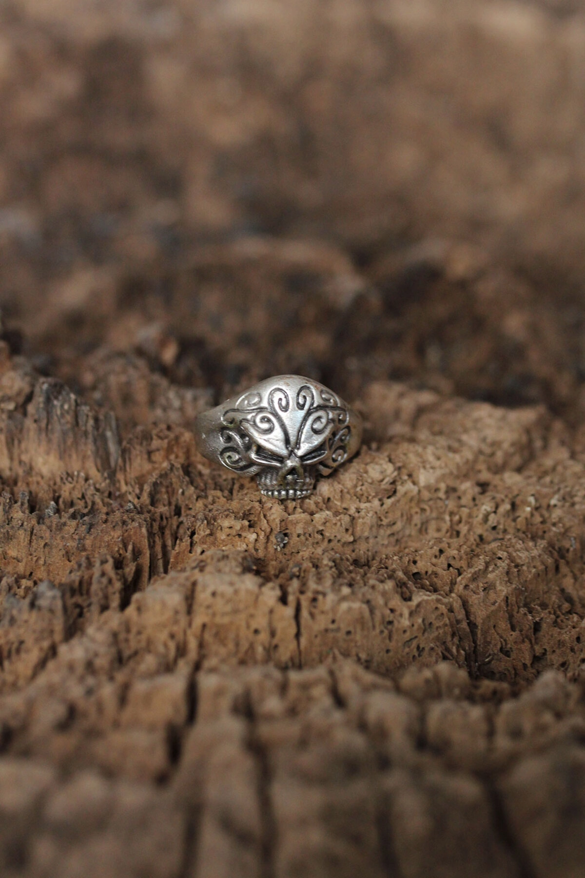 Ayarlanabilir Motifli Kuru Kafa Tasarımlı Erkek Yüzük-0