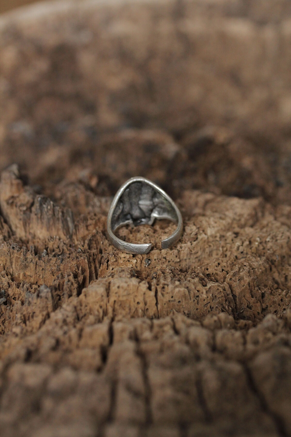 Ayarlanabilir Motifli Kuru Kafa Tasarımlı Erkek Yüzük-1