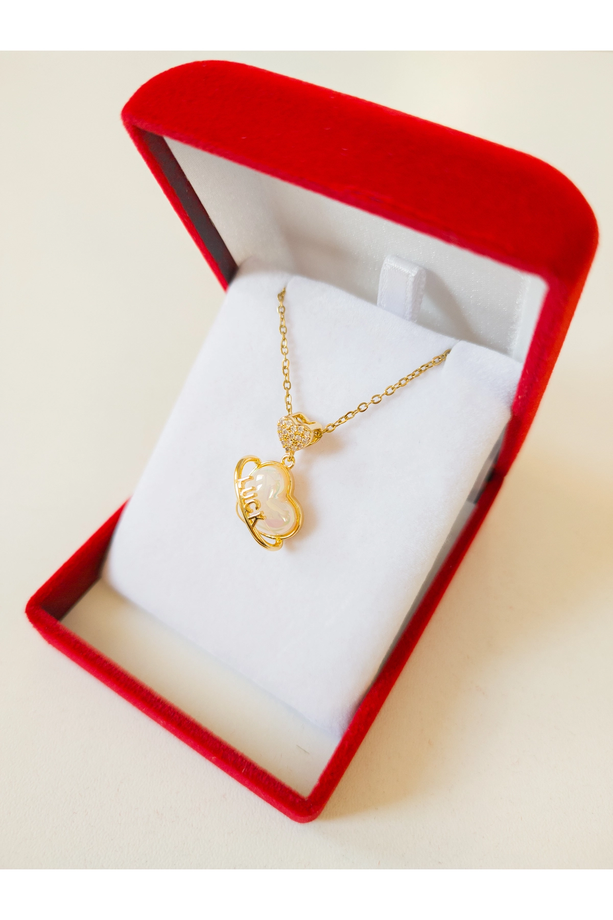 Lüx Kadife Kutuda | Kalpli Şans Kolye | 316l Çelik - Kararmaz | Hediye Kadın-4