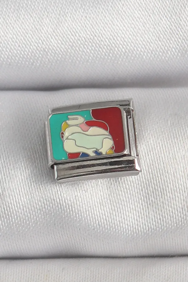 316L Çelik Gümüş Renk Renkli Portre Model Nomination Charm