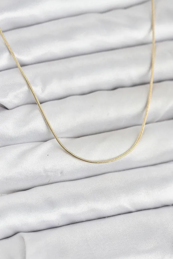 CM 14K Gold Renk Yılan Zincir Model Kadın Kolye